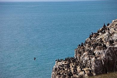 《艾尔登法环》官方公布新片段 并发文感谢玩家